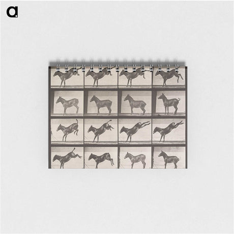 2-39_Eadweard-Muybridge_memo
