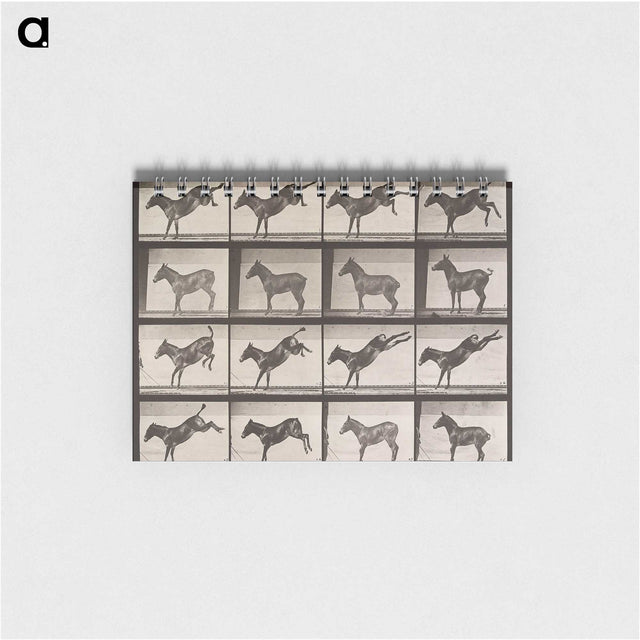 2-39_Eadweard-Muybridge_memo