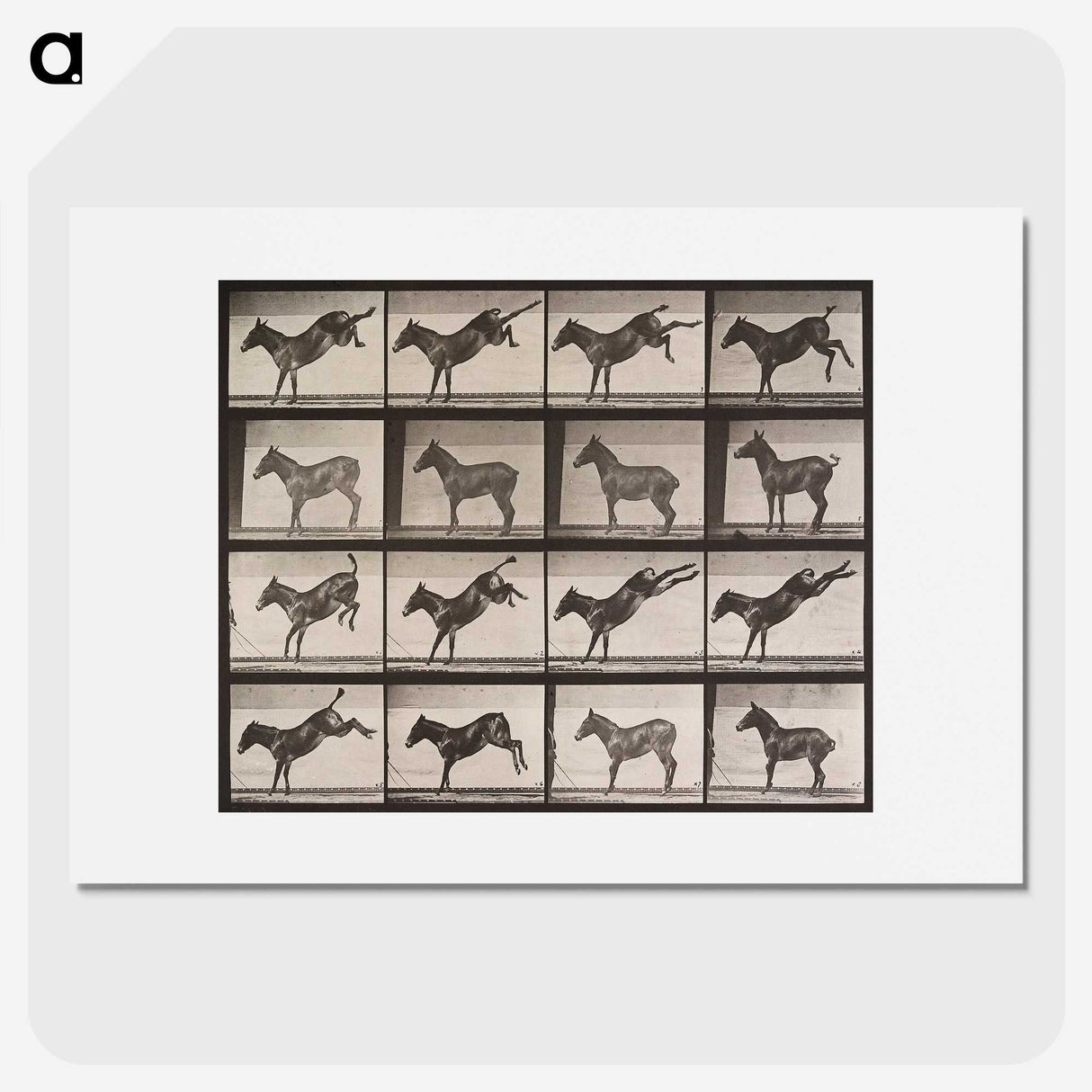 2-39_Eadweard-Muybridge_picture