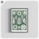 2-39_Ernst-Haeckel_blk-crop