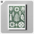 2-39_Ernst-Haeckel_canvas
