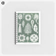 2-39_Ernst-Haeckel_memo