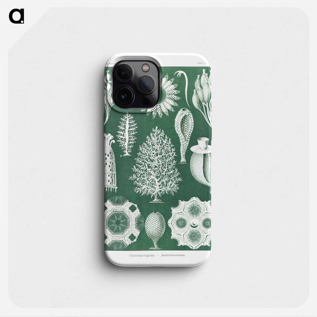Calcispongiae–Kalkschwämme - エルンスト ヘッケル Phone Case.