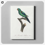 2-39_Francois-Levaillant_canvas