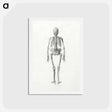 アートポストカード-Human Skeleton, Posterior View
 - ジョージ スタッブス Postcard.
