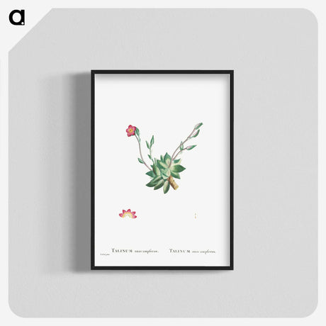 2-39_Histoire-des-Plantes-Grasses_blk-crop