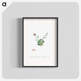 2-39_Histoire-des-Plantes-Grasses_blk