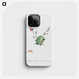 2-39_Histoire-des-Plantes-Grasses_phone
