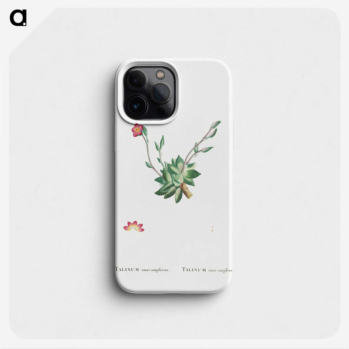 2-39_Histoire-des-Plantes-Grasses_phone