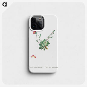 2-39_Histoire-des-Plantes-Grasses_phone