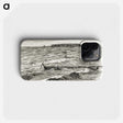 2-39_Hugo-Simberg_phone