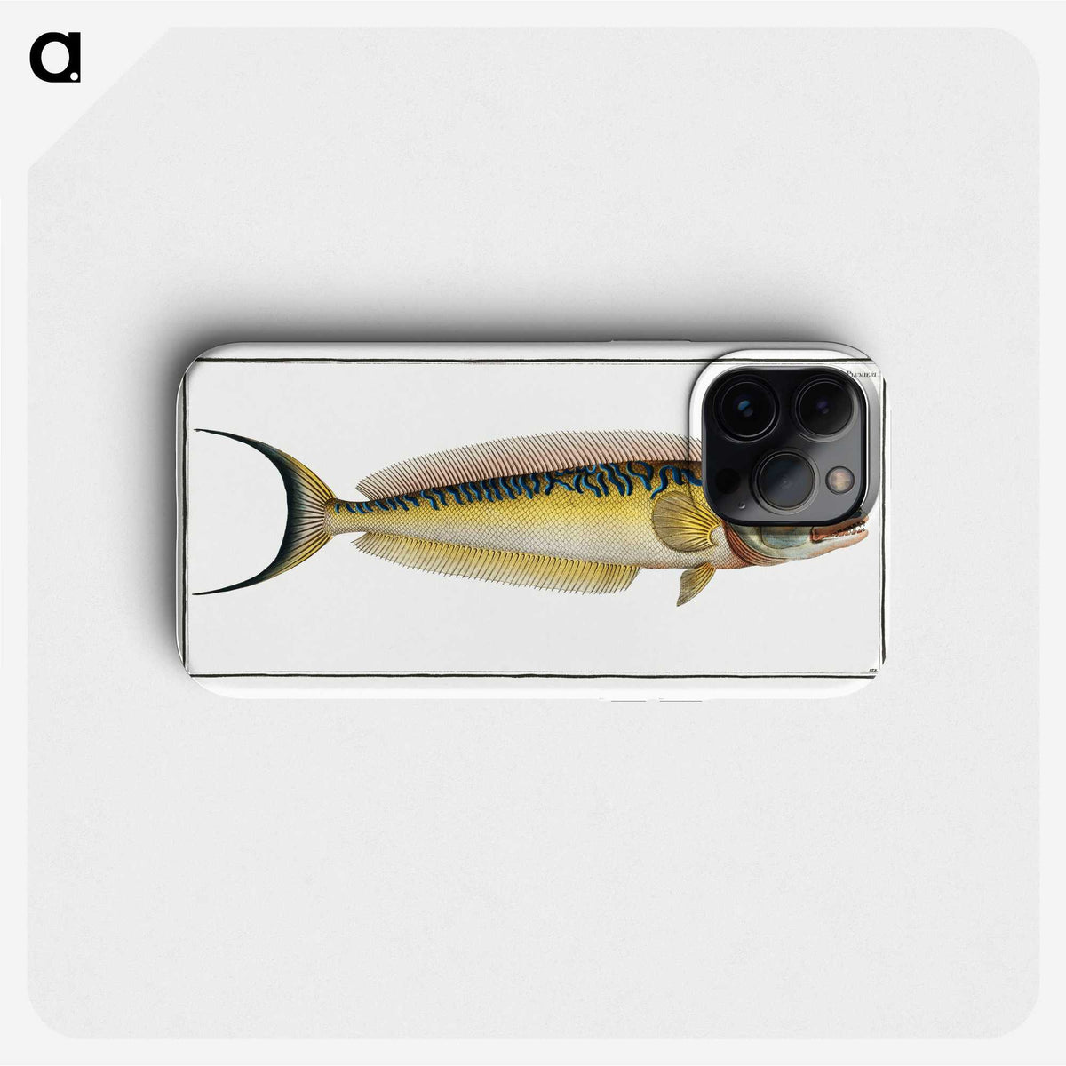 2-39_Ichtyologie-ou-Histoire-naturelle_phone