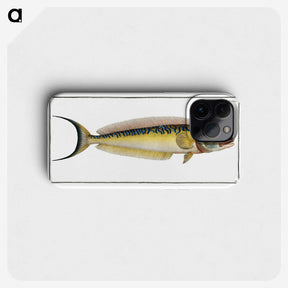 2-39_Ichtyologie-ou-Histoire-naturelle_phone