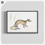 2-39_Indian-Zoology_blk-crop