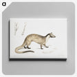 2-39_Indian-Zoology_canvas
