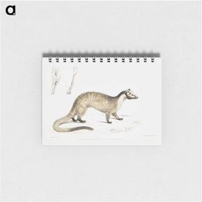 2-39_Indian-Zoology_memo