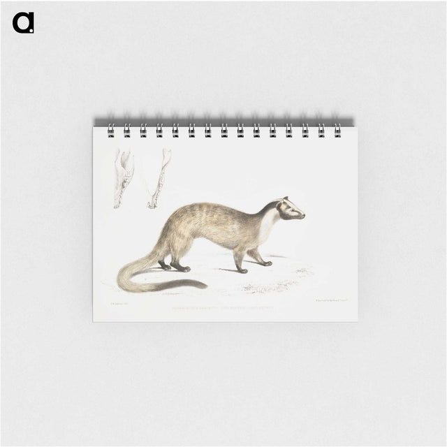 2-39_Indian-Zoology_memo