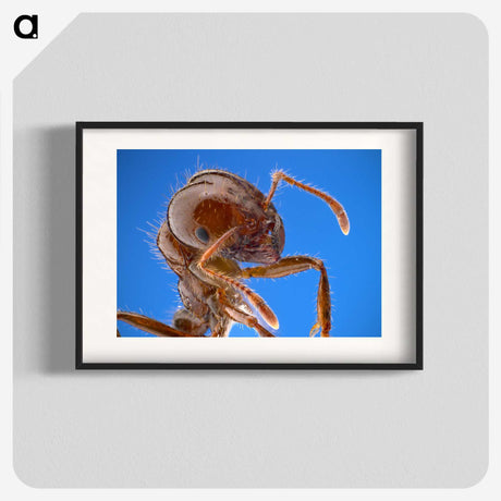 2-39_Insects-Unlocked-Project_blk