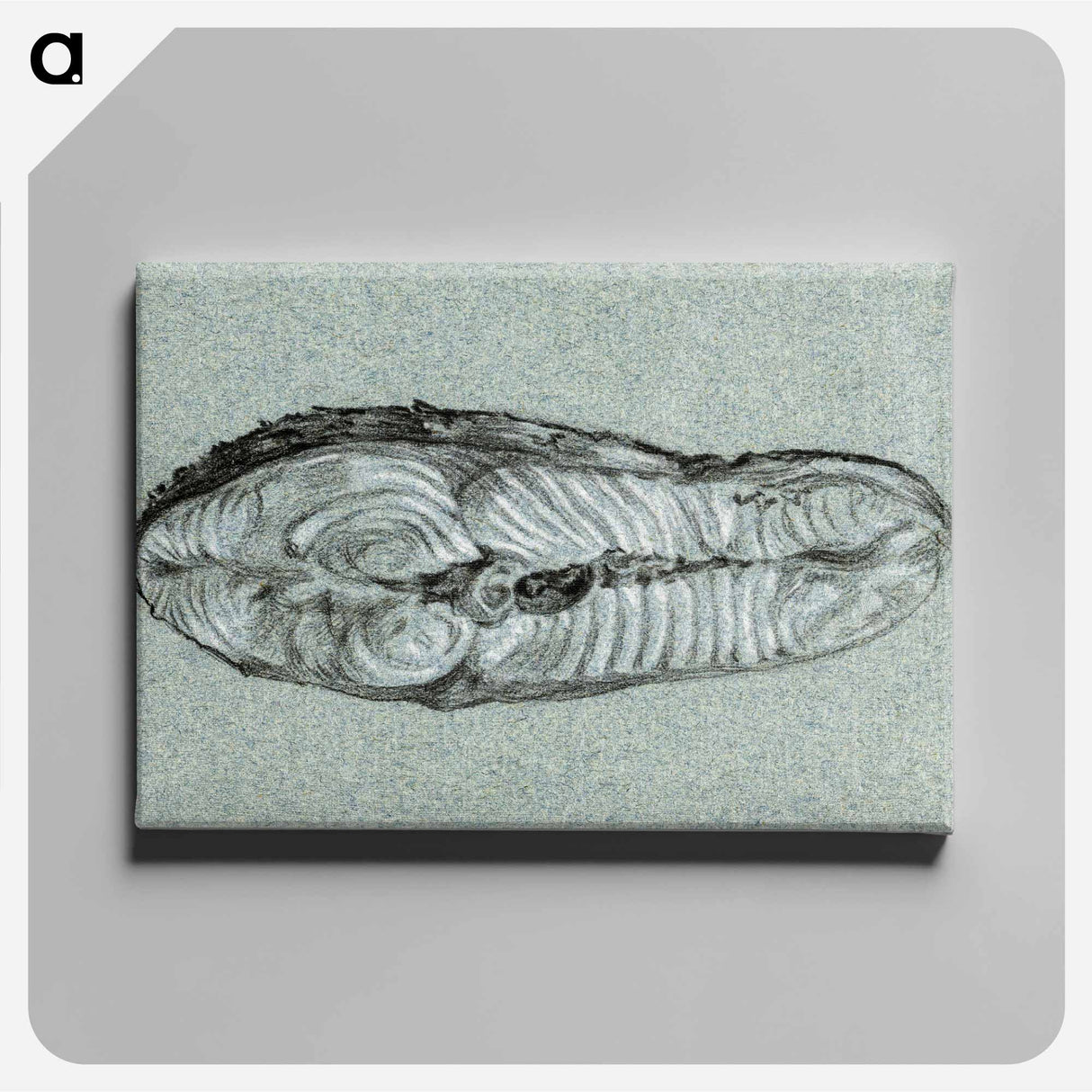 アートパネル-Moot cooked salmon - ジャン ベルナール Canvas.