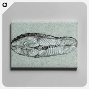 アートパネル-Moot cooked salmon - ジャン ベルナール Canvas.
