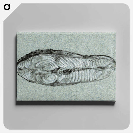 アートパネル-Moot cooked salmon - ジャン ベルナール Canvas.