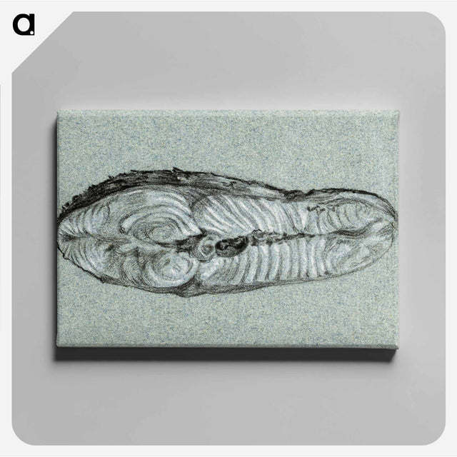 アートパネル-Moot cooked salmon - ジャン ベルナール Canvas.