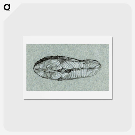 アートポストカード-Moot cooked salmon - ジャン ベルナール Postcard.