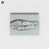 2-39_Jean-Bernard_memo