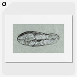 2-39_Jean-Bernard_picture