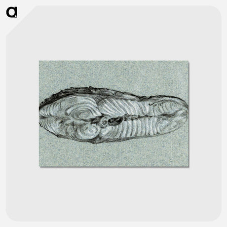 アートポストカード-Moot cooked salmon - ジャン ベルナール Postcard.