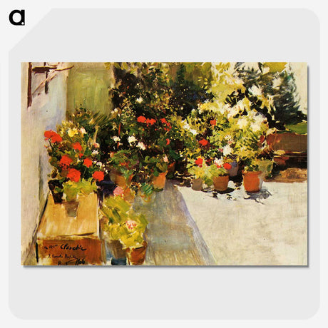2-39_Joaquin-Sorolla_picture-crop