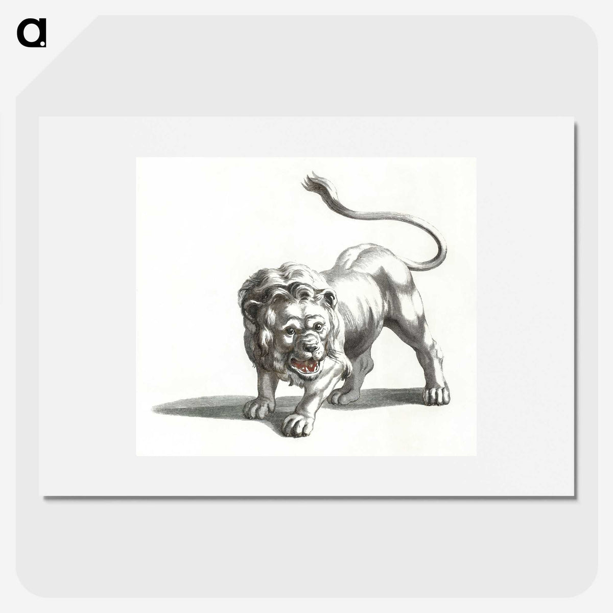 2-39_Johan-Teyler_picture