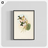 2-39_John-Gould_blk-crop