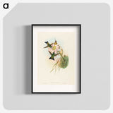 2-39_John-Gould_blk
