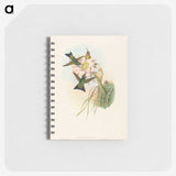 2-39_John-Gould_memo