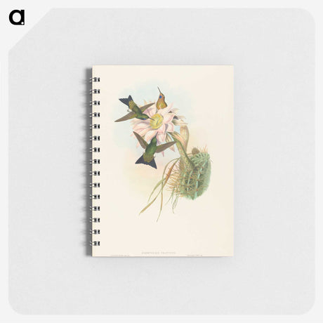 2-39_John-Gould_memo