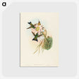 2-39_John-Gould_postcard