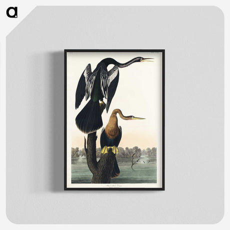 2-39_John-James-Audubon_blk-crop