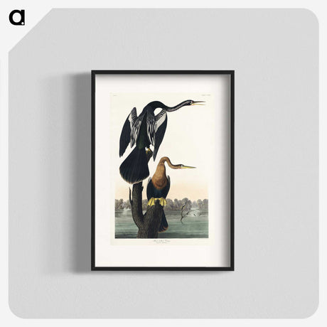 2-39_John-James-Audubon_blk