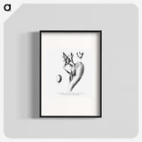 2-39_Les-Palmiers-Histoire-Iconographique_blk
