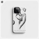 2-39_Les-Palmiers-Histoire-Iconographique_phone
