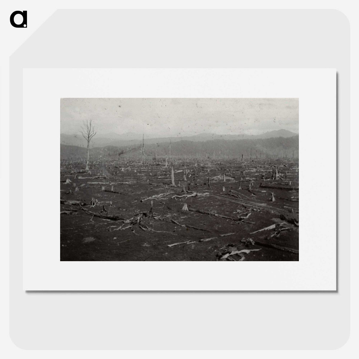 2-39_Leslie-Adkin_picture