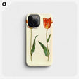 2-39_Maria-Sibylla-Merian_phone
