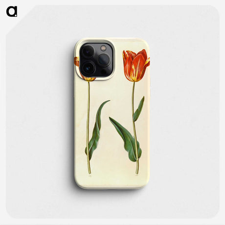 2-39_Maria-Sibylla-Merian_phone
