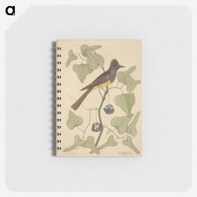 2-39_Mark-Catesby_memo