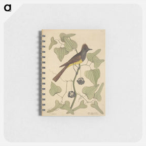 アートメモ帳-The Crested Flycatcher
 - マーク ケイツビー Memo.