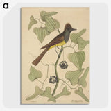 2-39_Mark-Catesby_picture-crop