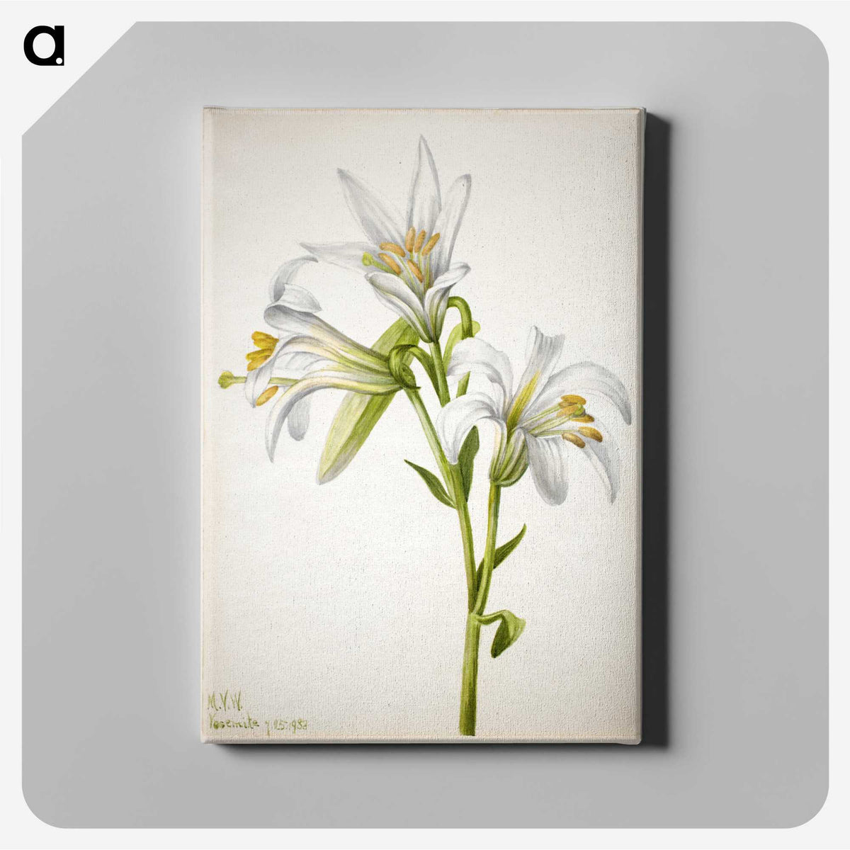 2-39_Mary-Vaux-Walcott_canvas