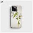 2-39_Mary-Vaux-Walcott_phone