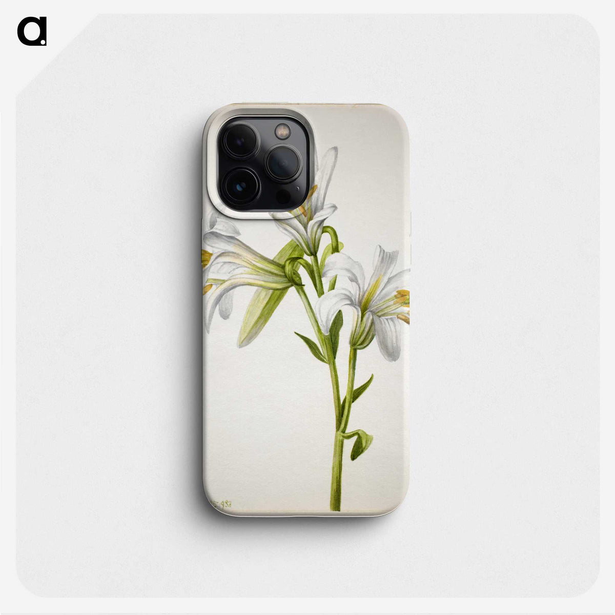 2-39_Mary-Vaux-Walcott_phone